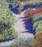 Dune Path 17 x 16w