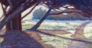 Sunset Bluff Trail 10 x 18