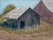 Old Friends 14.5 x 19 by Tim Brody