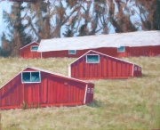 Penngrove Barns 9.25 x 11.25 by Tim Brody