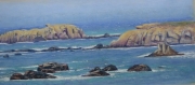 Bird Island Channel 13 x 27 by by Tim Brody