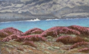 Black Point Channel 10 x 16 by Tim Brody
