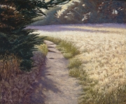 Bluff Trail 16 x 22 by Tim Brody