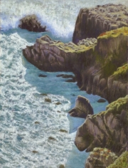 Bodega Head South 19 x 17 by Tim Brody
