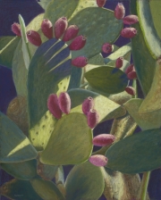 Cactus Tree 19 x 24 by Tim Brody