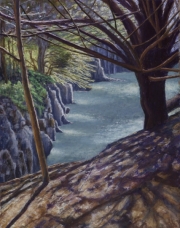 Coromorants Bay 26 x 215 by Tim Brody