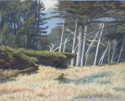 Cypress Meadow 14 x 20 by Tim Brody