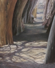 Cypress Path 14.5 x 12.5 by Tim Brody