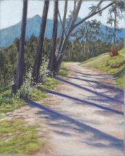 Eucalyptus Path 10 x 12 by Tim Brody