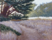 Evening Walk 13 x 16 by Tim Brody