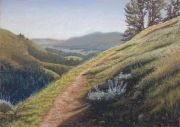 Lupine Path 16 x 17 by Tim Brody