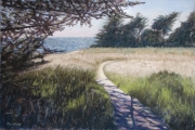 New Meadow 12 x 14 by Tim Brody