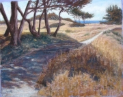 Pebble Beach Meadow by Tim Brody