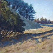 Pepperwood Oaks 10 x10 by Tim Brody