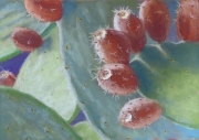 Small Cactus 4 x 6 by Tim Brody
