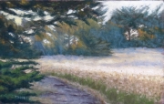 Small Green Bluff Trail 7 x 9 by Tim Brody