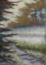 Small Vert. Red Bluff Trail 5 x 7 by Tim Brody