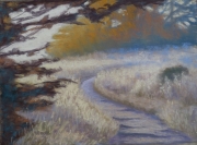 Small Sunset Bluff Trail 5 x 7 by Tim Brody