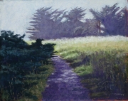 Spring Meadow 10 x 12 by Tim Brody