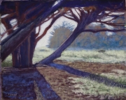 Sunset Meadow 10 x 12 by Tim Brody