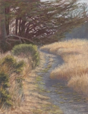 Sunset Path 11 x 8.5 by Tim Brody