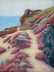 Superbloom 14 x 18