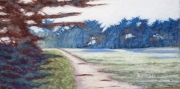 Wide Meadow 10 x 20