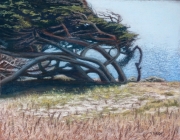 Cypress Copse 10 x 12 by Tim Brody