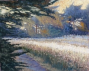 Small Green Bluff Trail No2 8x10 Tim Brody
