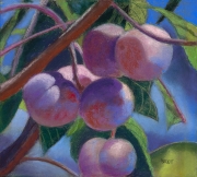 Fiery Plums 9.25 x 8.5