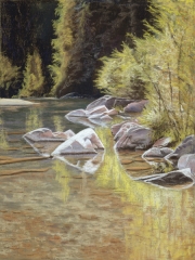 Eel River 23 x 17 by Tim Brody