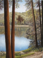 Lake Lagunitas 11.5 x 15.5 by Tim Brody