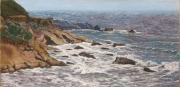 Bird Island 12 x 24 by Tim Brody