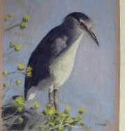 Bobs Heron 12 x 10