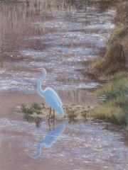 Great White Heron 11 x 14 by Tim Brody