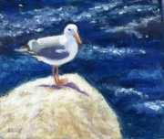 Seagull on Rock 7 x 8 by Tim Brody