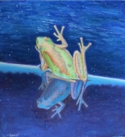 Frog 12.5 x 11 by Tim Brody