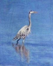 Great Blue Heron 10 x 8