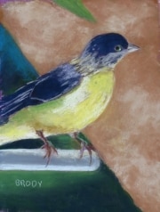 Goldfinch Painting 7 x 9